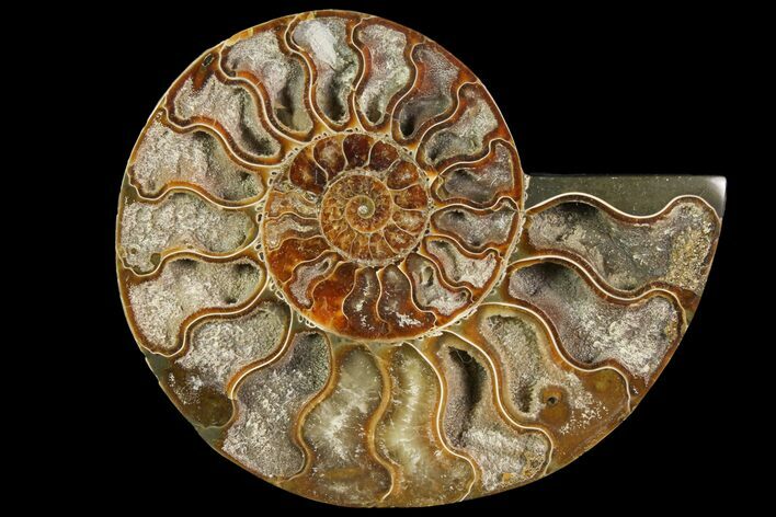 Agatized Ammonite Fossil (Half) - Crystal Pockets #114930